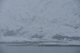 Filename=DSC_4877.JPG
Filesize=18697KiB
Dimensions=7360x4912
Date added=Oct 17, 2021 DSC_4877.JPG