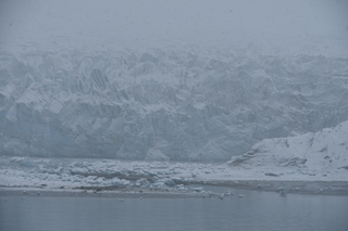 Filename=DSC_4881.JPG
Filesize=17193KiB
Dimensions=7360x4912
Date added=Oct 17, 2021 DSC_4881.JPG