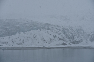 Filename=DSC_4883.JPG
Filesize=17696KiB
Dimensions=7360x4912
Date added=Oct 17, 2021 DSC_4883.JPG