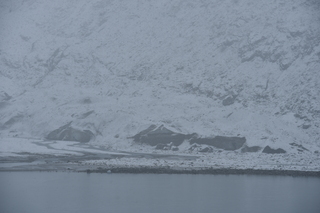 Filename=DSC_4885.JPG
Filesize=18185KiB
Dimensions=7360x4912
Date added=Oct 17, 2021 DSC_4885.JPG