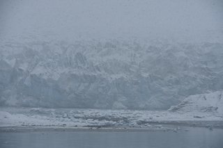 Filename=DSC_4887.JPG
Filesize=17438KiB
Dimensions=7360x4912
Date added=Oct 17, 2021 DSC_4887.JPG