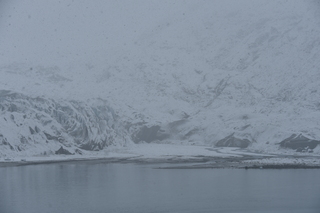 Filename=DSC_4895.JPG
Filesize=18066KiB
Dimensions=7360x4912
Date added=Oct 17, 2021 DSC_4895.JPG