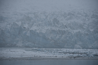 Filename=DSC_4896.JPG
Filesize=16628KiB
Dimensions=7360x4912
Date added=Oct 17, 2021 DSC_4896.JPG