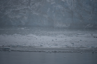 Filename=DSC_4900.JPG
Filesize=16115KiB
Dimensions=7360x4912
Date added=Oct 17, 2021 DSC_4900.JPG