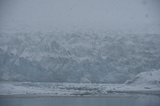 Filename=DSC_4905.JPG
Filesize=17311KiB
Dimensions=7360x4912
Date added=Oct 17, 2021 DSC_4905.JPG