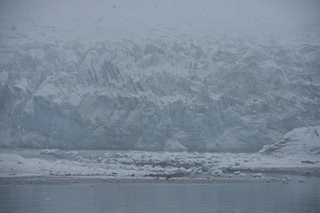 Filename=DSC_4908.JPG
Filesize=16952KiB
Dimensions=7360x4912
Date added=Oct 17, 2021 DSC_4908.JPG