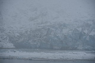 Filename=DSC_4909.JPG
Filesize=17044KiB
Dimensions=7360x4912
Date added=Oct 17, 2021 DSC_4909.JPG