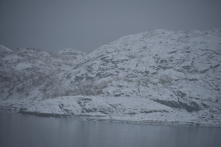 Filename=DSC_4911.JPG
Filesize=16494KiB
Dimensions=7360x4912
Date added=Oct 17, 2021 DSC_4911.JPG