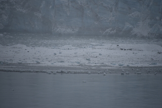 Filename=DSC_4915.JPG
Filesize=16109KiB
Dimensions=7360x4912
Date added=Oct 17, 2021 DSC_4915.JPG