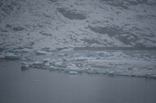 Filename=DSC_4917.JPG
Filesize=16327KiB
Dimensions=7360x4912
Date added=Oct 17, 2021 DSC_4917.JPG