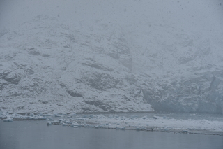 Filename=DSC_4918.JPG
Filesize=18114KiB
Dimensions=7360x4912
Date added=Oct 17, 2021 DSC_4918.JPG