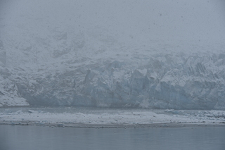 Filename=DSC_4919.JPG
Filesize=18082KiB
Dimensions=7360x4912
Date added=Oct 17, 2021 DSC_4919.JPG