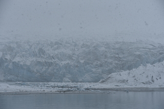 Filename=DSC_4920.JPG
Filesize=18056KiB
Dimensions=7360x4912
Date added=Oct 17, 2021 DSC_4920.JPG