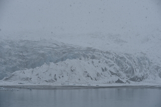 Filename=DSC_4921.JPG
Filesize=17888KiB
Dimensions=7360x4912
Date added=Oct 17, 2021 DSC_4921.JPG