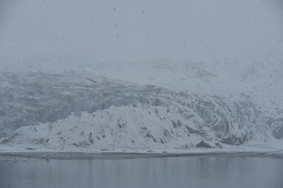 Filename=DSC_4922.JPG
Filesize=17713KiB
Dimensions=7360x4912
Date added=Oct 17, 2021 DSC_4922.JPG