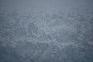 Filename=DSC_4931.JPG
Filesize=15776KiB
Dimensions=7360x4912
Date added=Oct 17, 2021 DSC_4931.JPG