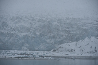 Filename=DSC_4934.JPG
Filesize=16878KiB
Dimensions=7360x4912
Date added=Oct 17, 2021 DSC_4934.JPG