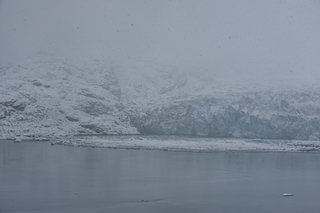 Filename=DSC_4938.JPG
Filesize=17126KiB
Dimensions=7360x4912
Date added=Oct 17, 2021 DSC_4938.JPG