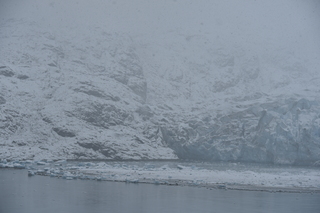 Filename=DSC_4939.JPG
Filesize=17783KiB
Dimensions=7360x4912
Date added=Oct 17, 2021 DSC_4939.JPG