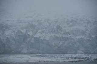 Filename=DSC_4941.JPG
Filesize=16503KiB
Dimensions=7360x4912
Date added=Oct 17, 2021 DSC_4941.JPG