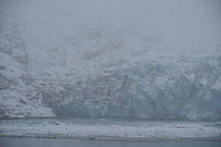 Filename=DSC_4942.JPG
Filesize=17270KiB
Dimensions=7360x4912
Date added=Oct 17, 2021 DSC_4942.JPG