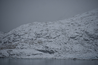 Filename=DSC_4948.JPG
Filesize=17281KiB
Dimensions=7360x4912
Date added=Oct 17, 2021 DSC_4948.JPG