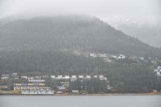 Filename=DSC_4955.JPG
Filesize=14988KiB
Dimensions=7360x4912
Date added=Oct 17, 2021 DSC_4955.JPG