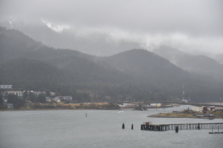 Filename=DSC_4960.JPG
Filesize=14687KiB
Dimensions=7360x4912
Date added=Oct 17, 2021 DSC_4960.JPG