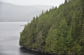 Filename=DSC_4969.JPG
Filesize=19697KiB
Dimensions=7360x4912
Date added=Oct 17, 2021 DSC_4969.JPG