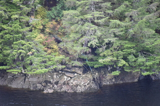 Filename=DSC_4971.JPG
Filesize=20966KiB
Dimensions=7360x4912
Date added=Oct 17, 2021 DSC_4971.JPG