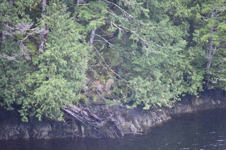 Filename=DSC_4973.JPG
Filesize=21115KiB
Dimensions=7360x4912
Date added=Oct 17, 2021 DSC_4973.JPG