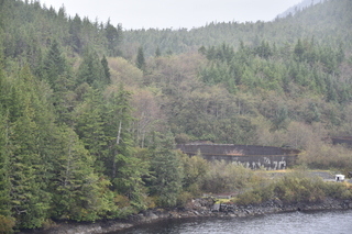 Filename=DSC_4975.JPG
Filesize=21796KiB
Dimensions=7360x4912
Date added=Oct 17, 2021 DSC_4975.JPG