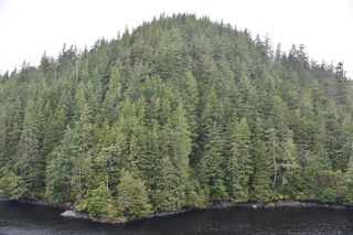 Filename=DSC_4976.JPG
Filesize=21568KiB
Dimensions=7360x4912
Date added=Oct 17, 2021 DSC_4976.JPG