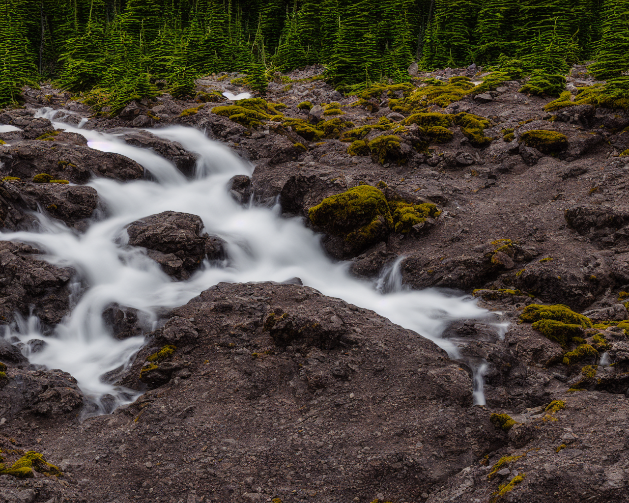 00118-4273345974-nikon_d8102C_mount_rainier_national_park.png