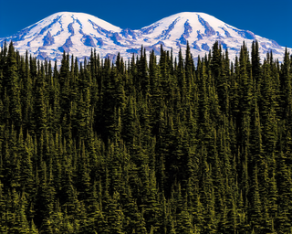 00116-4273345972-nikon_d8102C_mount_rainier_national_park.png