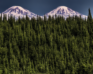 00117-4273345973-nikon_d8102C_mount_rainier_national_park.png