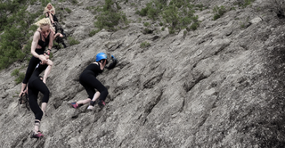 00195-33-madonna_climbing_a_mountain.png