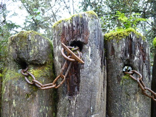 Filename=P1100614.JPG
Filesize=5746KiB
Dimensions=4320x3240
Date added=Oct 22, 2022 P1100614.JPG