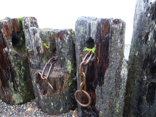 Filename=P1100615.JPG
Filesize=6023KiB
Dimensions=4320x3240
Date added=Oct 22, 2022 P1100615.JPG