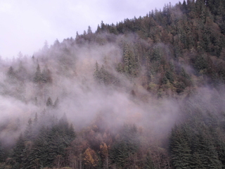 Filename=PICT0061.JPG
Filesize=6088KiB
Dimensions=4608x3456
Date added=Oct 22, 2022 PICT0061.JPG