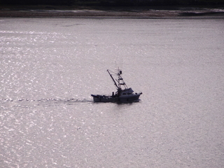 Filename=PICT0064.JPG
Filesize=6492KiB
Dimensions=4608x3456
Date added=Oct 22, 2022 PICT0064.JPG