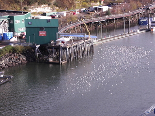 Filename=PICT0101.JPG
Filesize=6545KiB
Dimensions=4608x3456
Date added=Oct 22, 2022 PICT0101.JPG