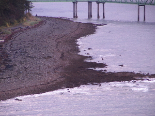 Filename=PICT0142.JPG
Filesize=6507KiB
Dimensions=4608x3456
Date added=Oct 22, 2022 PICT0142.JPG