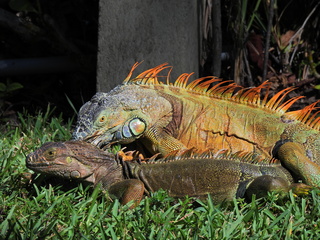 Filename=DSCN0074.JPG
Filesize=7343KiB
Dimensions=4608x3456
Date added=Jan 06, 2023 DSCN0074.JPG