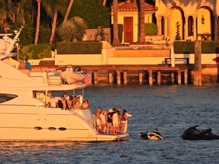 Filename=DSCN0109.JPG
Filesize=6513KiB
Dimensions=4608x3456
Date added=Jan 10, 2023 DSCN0109.JPG