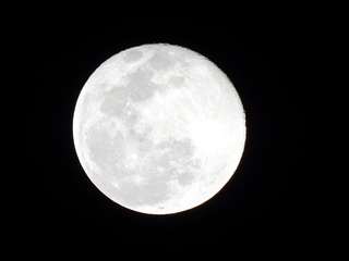 Filename=DSCN0216.JPG
Filesize=4719KiB
Dimensions=4608x3456
Date added=Jan 10, 2023 DSCN0216.JPG