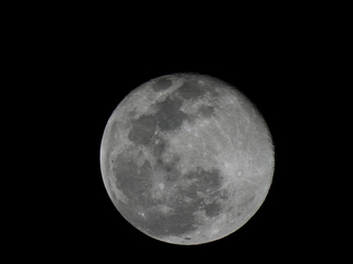 Filename=DSCN0217.JPG
Filesize=2068KiB
Dimensions=4608x3456
Date added=Jan 10, 2023 DSCN0217.JPG