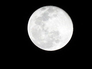 Filename=DSCN0218.JPG
Filesize=3011KiB
Dimensions=4608x3456
Date added=Jan 10, 2023 DSCN0218.JPG