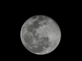 Filename=DSCN0220.JPG
Filesize=2087KiB
Dimensions=4608x3456
Date added=Jan 10, 2023 DSCN0220.JPG