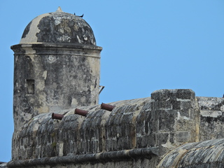 Filename=DSCN0235.JPG
Filesize=6706KiB
Dimensions=4608x3456
Date added=Jan 10, 2023 DSCN0235.JPG